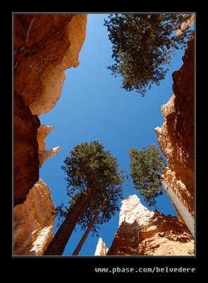 Bryce Canyon #10, UT