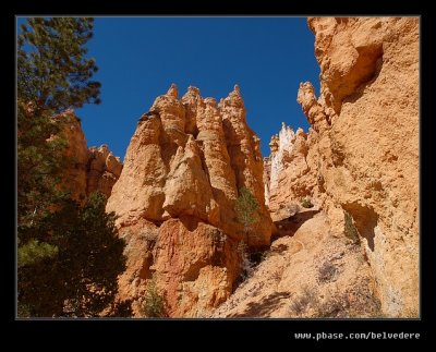 Bryce Canyon #11, UT