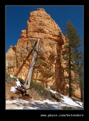 Bryce Canyon #17, UT