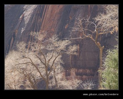 Virgin Riverside Hike #09, Zion, UT