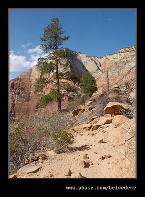 Hidden Canyon Hike #04, Zion, UT
