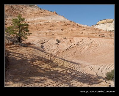 Slickrock #1 nr Checkerboard Mesa, Zion, UT