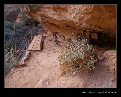 Canyon Overlook Hike #07, Zion, UT
