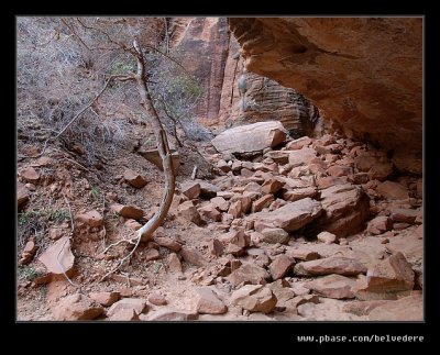 Canyon Overlook Hike #09, Zion, UT