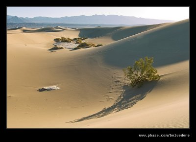 Mesquite Flat Dunes Hike #21, Death Valley, CA