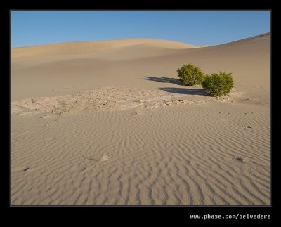 Mesquite Flat Dunes Hike #23, Death Valley, CA