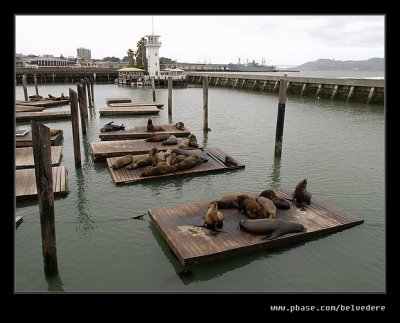 Pier 39 #01, San Francisco, CA