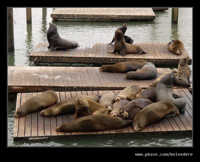 Pier 39 #02, San Francisco, CA