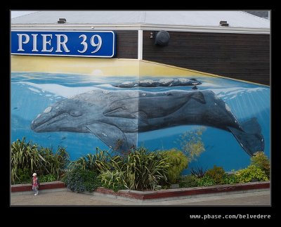 Pier 39 #05, San Francisco, CA