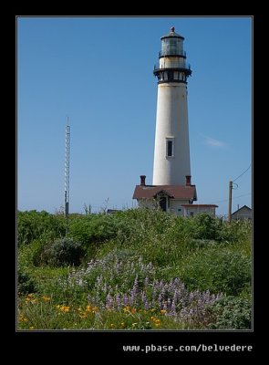 Pigeon Point Light Station #11, Davenport, CA