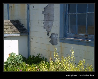 Pigeon Point Light Station #15, Davenport, CA