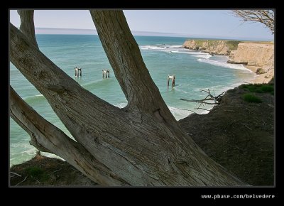 Clifftop Walk #03, Davenport, CA