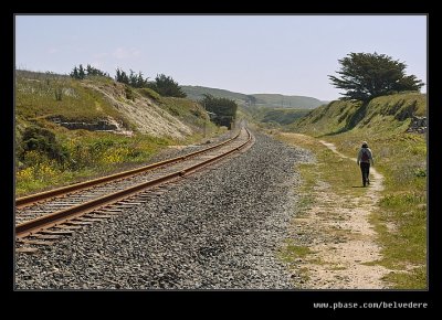 Clifftop Walk #06, Davenport, CA