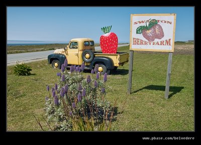 Swanton Berry Farm #03, Davenport, CA