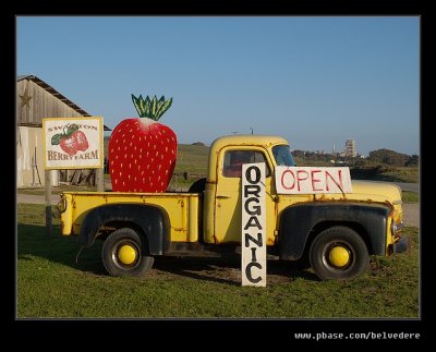 Swanton Berry Farm #01, Davenport, CA