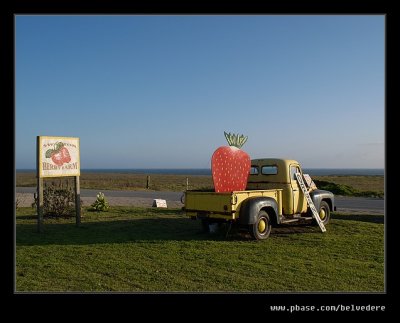 Swanton Berry Farm #02, Davenport, CA