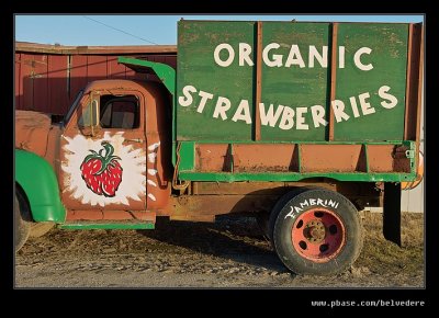 Fambrini Strawberry Farm #07, Davenport, CA