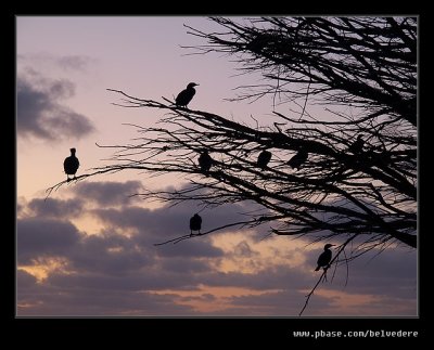 Last Light at the Clifftops #04, Davenport, CA