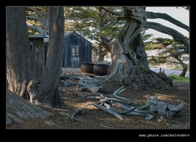 Whaler's Cabin #01, Point Lobos, CA