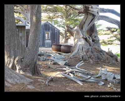 Whaler's Cabin #02, Point Lobos, CA