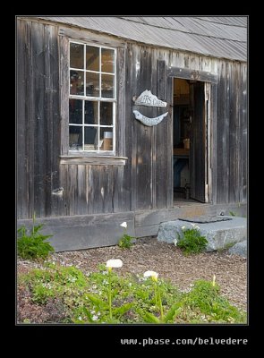 Whaler's Cabin #04, Point Lobos, CA
