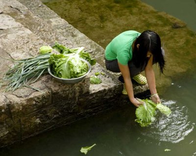 Green and greens