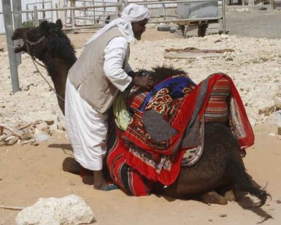 At the Camel Soukh (Camel Market)