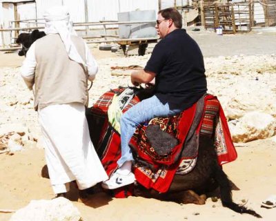 Tim Learning Camelmanship