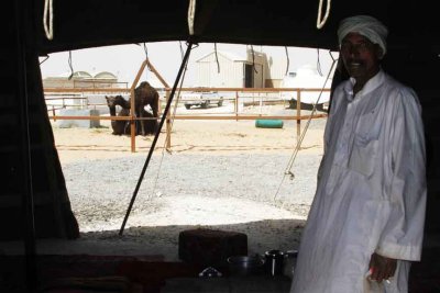Camel Soukh Worker