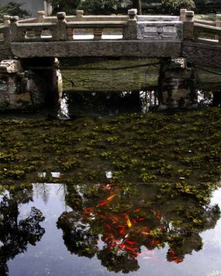 pond, goldfish and ancient bridge
