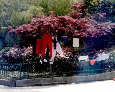 Roadside Art