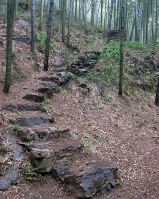 stone steps