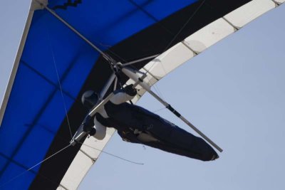 paragliders_r51.jpg
