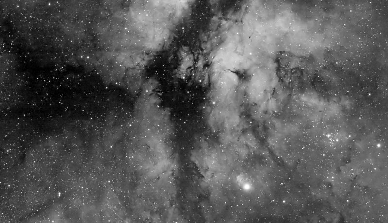 IC 1318, Gamma Cygni Nebula in Ha