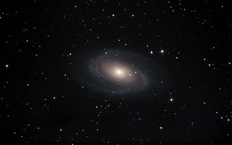 M 81