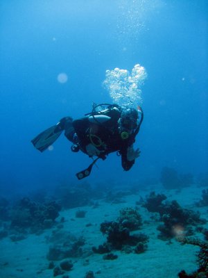 IMG_0030.jpg