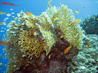 IMG_0048.jpg