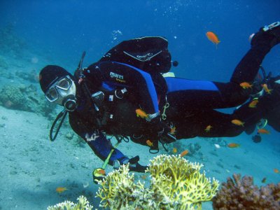 IMG_0050.jpg