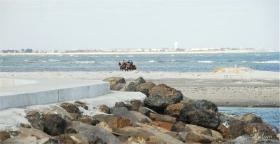The Inlet