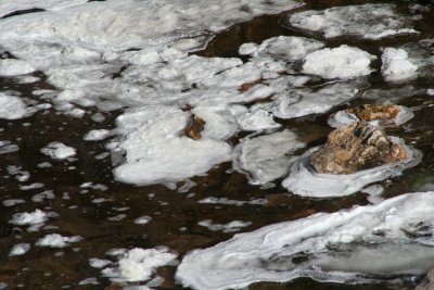 Melting Ice...