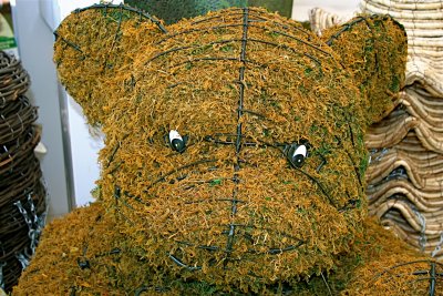 the Green Teddy Bear...