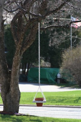 Hanging the Pot UP in the Tree...