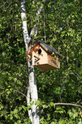 a BirdHouse at the little Zoo