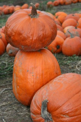 Snowman Pumpkin?!