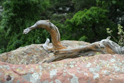 Wichita Mountains