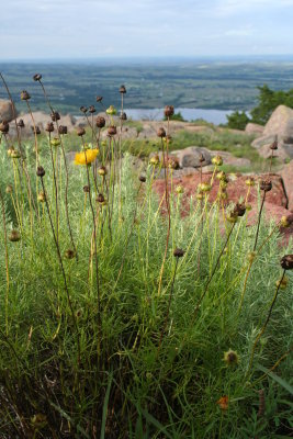 Wichita Mountains