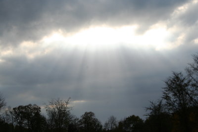 Rays about 4:30pm