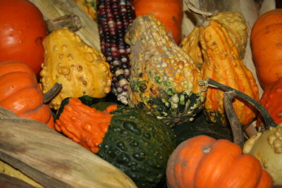 More Gourds!