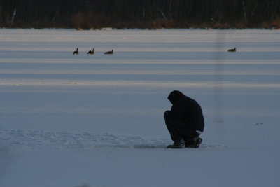 Searching for a Fish on a Cold Day!