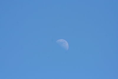 IMG_4415.2pm.JPG